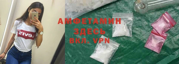 spice Богородск