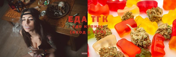 spice Богородск