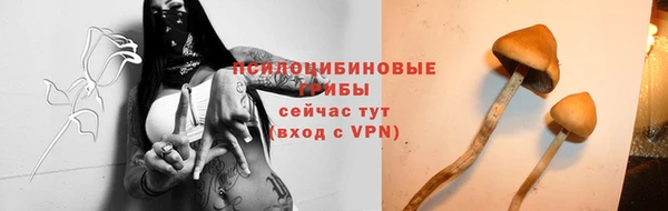 спиды Богданович