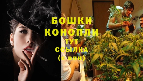 спиды Богданович