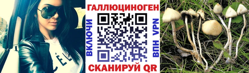 Галлюциногенные грибы ЛСД  Сердобск 