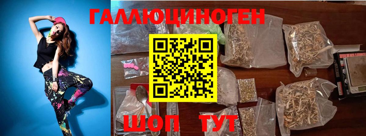 Сердобск  Галлюциногенные грибы прущие грибы  Галлюциногенные грибы Psilocybe  Вход с VPN 